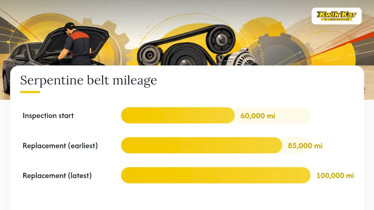 When Should You Replace Your Serpentine Belt? — overview diagram