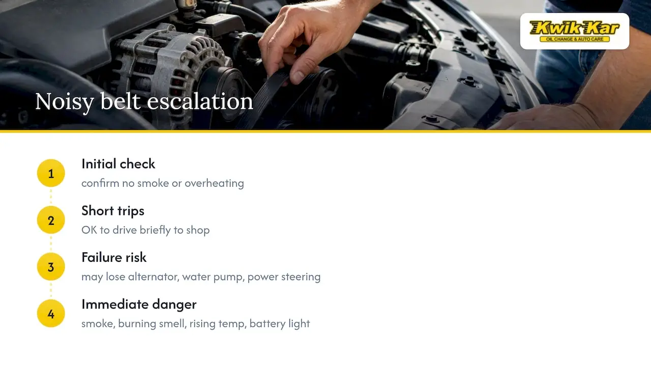 Serpentine belt failure warning signs diagram
